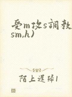 受m攻s调教(sm,h)封面