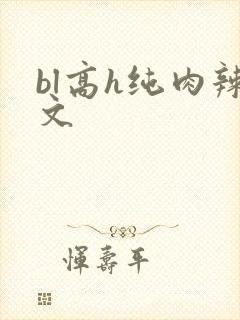 bl高h纯肉辣文
