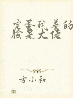 完蛋我养的小白脸是大佬