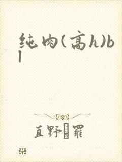 纯肉(高h)bl