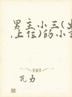 男主小三(出轨,上位)的小说