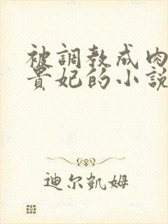 被调教成肉奴徐贵妃的小说