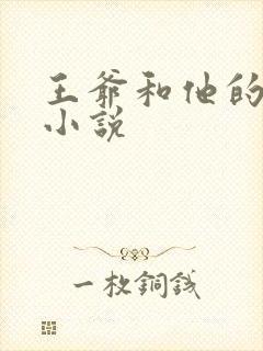 王爷和他的后宫小说