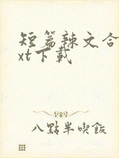 短篇辣文合集txt下载