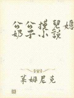 公公摸儿媳的大奶子小说封面