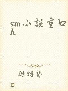 sm小说重口高h封面