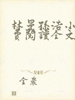 林曼孙浩小说免费阅读全文最新章节