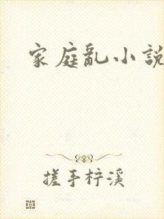 家庭乱小说h