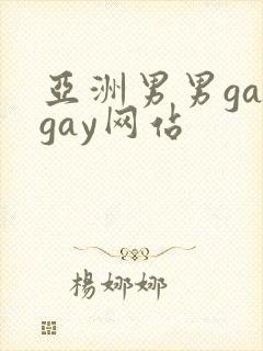 亚洲男男gaygay网站