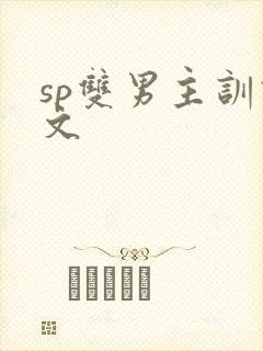 sp双男主训诫文封面