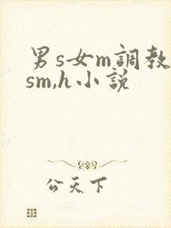 男s女m调教(sm,h小说