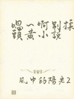 嗯～啊别揉我奶头黄小说