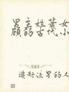 男主姓萧女主姓顾的古代小说封面