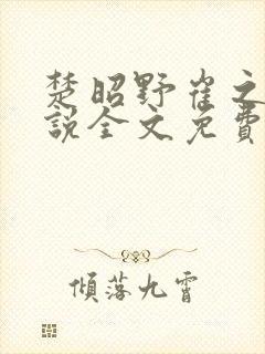 楚昭野崔之棠小说全文免费阅读封面