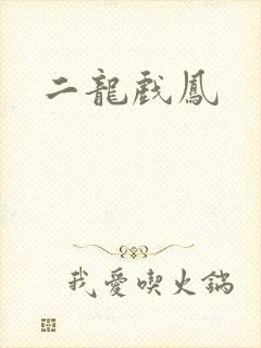 二龙戏凤封面