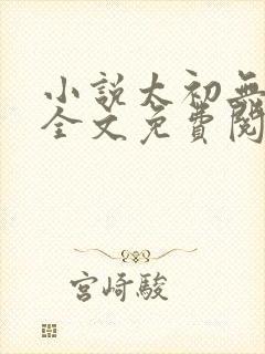 小说太初无弹窗全文免费阅读