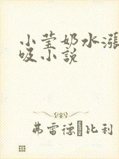 小莹奶水涨公帮吸小说封面