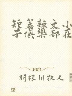 短篇辣文小说母子俱乐部在线阅读全文封面