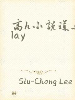 高h小说道具play封面