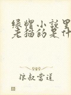 绿帽小说里边有老猫的是什么小说