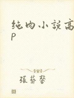 纯肉小说高hnp