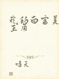 我的白富美老婆主角