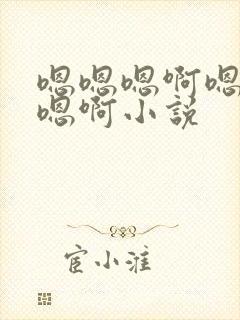 嗯嗯嗯啊嗯嗯啊嗯啊小说