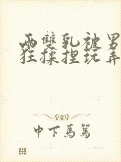 两双乳被男人疯狂揉捏玩弄小说