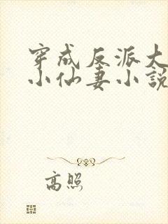 穿成反派大佬的小仙妻小说免费阅读