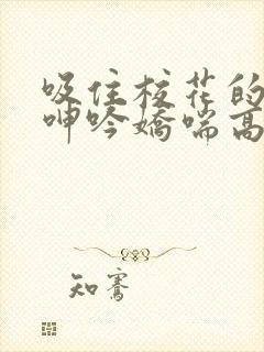 吸住校花的奶头呻吟娇喘高潮小说封面