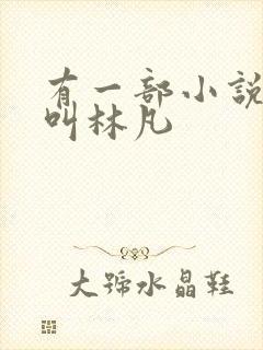 有一部小说主角叫林凡封面