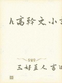h高干文小说