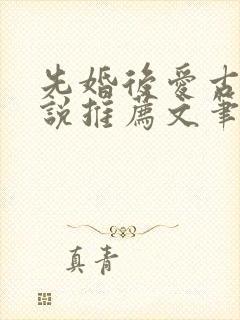 先婚后爱古言小说推荐文笔好高质量封面