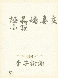 极品娇妻交换记小说