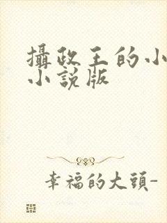 摄政王的小闲妻小说版