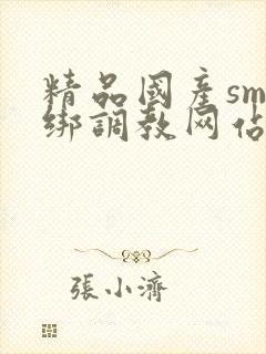 精品国产sm捆绑调教网站
