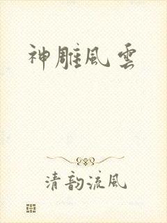 神雕风云