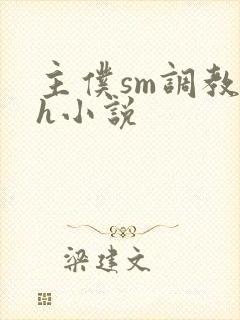 主仆sm调教高h小说封面