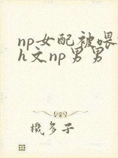 np女配被喂饱h文np男男封面
