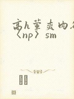 高h荤爽肉欲文〈np〉sm