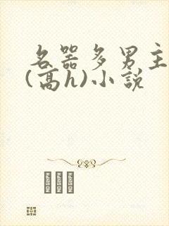 名器多男主喷水(高h)小说