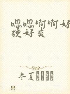 嗯嗯啊啊好大好硬好爽封面