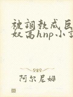 被调教成巨乳奶奴高hnp小说封面