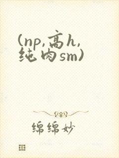 (np,高h,纯肉sm)