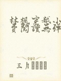 林枫穿越小说免费阅读无弹窗