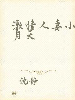 激情人妻小说五月天封面