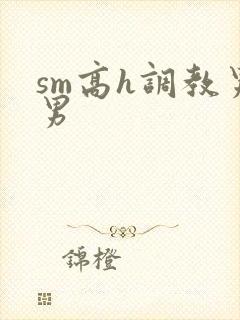 sm高h调教男男封面