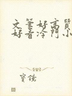 文笔好高质量超好看冷门小说