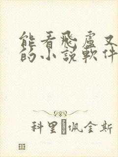 能看飞卢又免费的小说软件