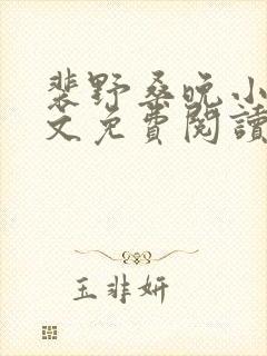 裴野桑晚小说全文免费阅读最新章节